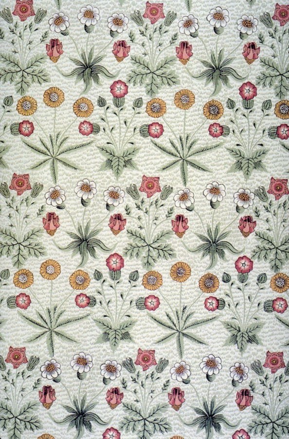 Small-scale daisy wallpaper on a pale ground